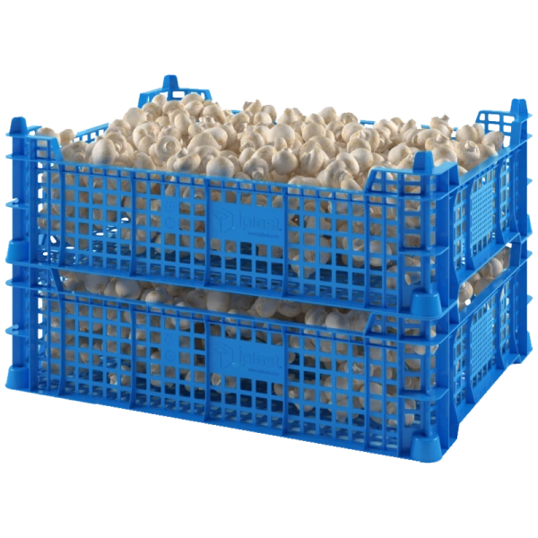 Ящик грибной 400х300х110 мм 